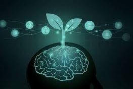 cara membangun mindset winners menjadi pemenang dalam performa kerja